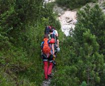 Klik za večjo sliko